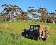 Willys MB – Winter top